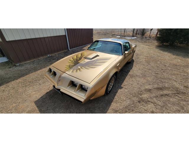 1979 Pontiac Firebird Trans Am (CC-1878351) for sale in waconia, Minnesota