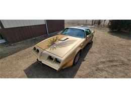 1979 Pontiac Firebird Trans Am (CC-1878351) for sale in waconia, Minnesota