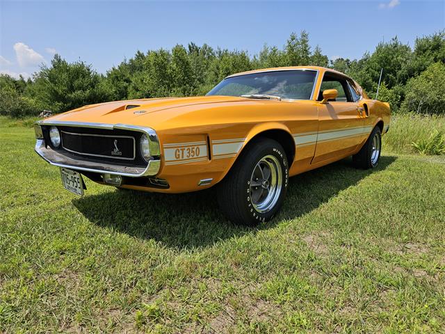 1969 Shelby GT350 (CC-1878513) for sale in waconia, Minnesota