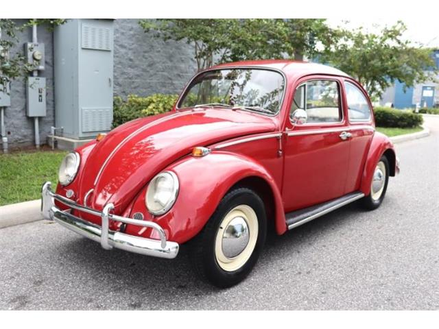 1965 Volkswagen Beetle (CC-1878708) for sale in Cadillac, Michigan