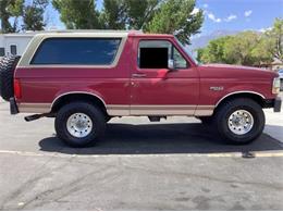 1995 Ford Bronco (CC-1878719) for sale in Cadillac, Michigan