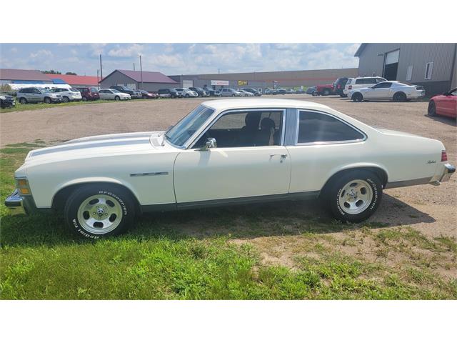 1977 Buick Skylark 2dr (CC-1879068) for sale in Dalton, Minnesota