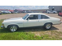 1977 Buick Skylark 2dr (CC-1879068) for sale in Dalton, Minnesota