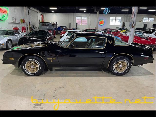 1976 Pontiac Firebird for Sale | ClassicCars.com | CC-1879237