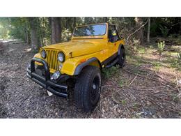 1978 Jeep CJ (CC-1879316) for sale in Biloxi, Mississippi