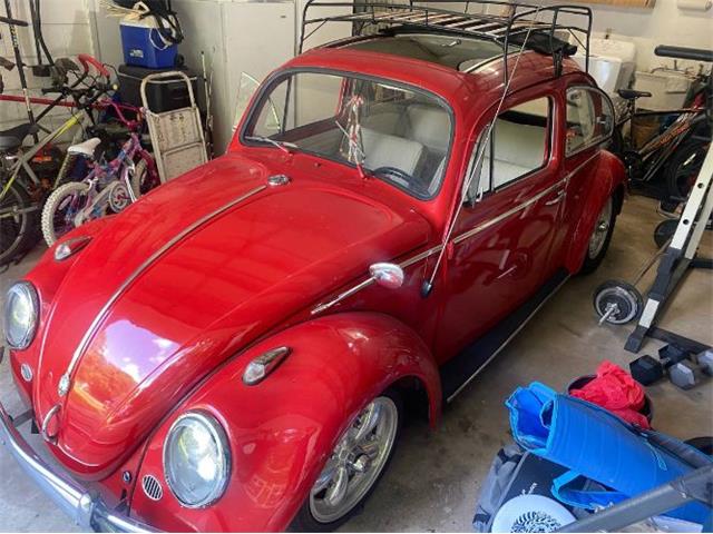 1964 Volkswagen Beetle (CC-1870940) for sale in Cadillac, Michigan