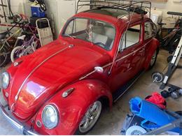 1964 Volkswagen Beetle (CC-1870940) for sale in Cadillac, Michigan