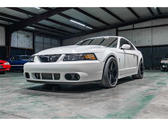 2003 Ford Mustang SVT Cobra (CC-1879435) for sale in Sherman, Texas