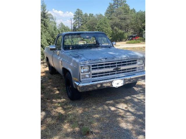 1985 Chevrolet Pickup (CC-1879554) for sale in Cadillac, Michigan