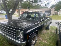 1977 Chevrolet C10 (CC-1879561) for sale in Cadillac, Michigan