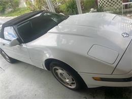 1995 Chevrolet Corvette (CC-1879566) for sale in Cadillac, Michigan