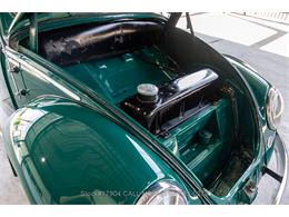 1957 Volkswagen Beetle (CC-1879605) for sale in Beverly Hills, California