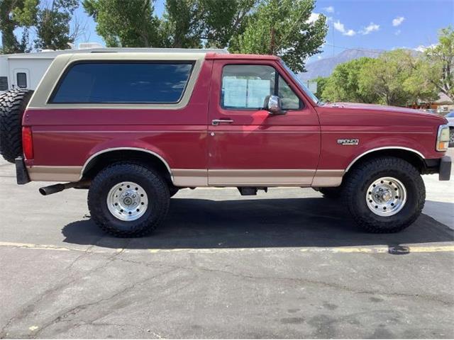 1995 Ford Bronco (CC-1879608) for sale in Cadillac, Michigan