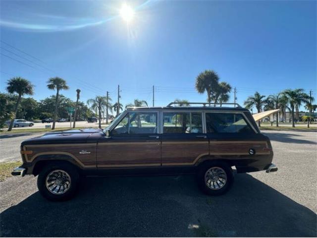 1985 Jeep Grand Wagoneer (CC-1881631) for sale in Cadillac, Michigan