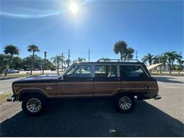 1985 Jeep Grand Wagoneer (CC-1881631) for sale in Cadillac, Michigan