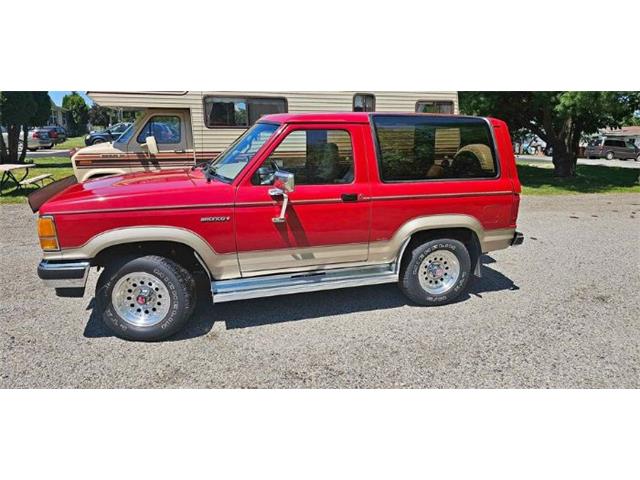 1987 Ford Bronco (CC-1881632) for sale in Cadillac, Michigan