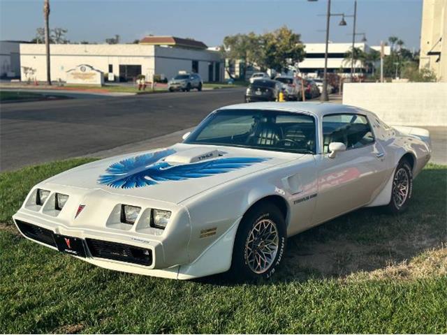 1979 Pontiac Firebird Trans Am (CC-1881646) for sale in Cadillac, Michigan