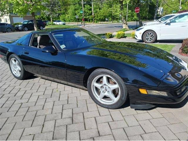 1991 Chevrolet Corvette (CC-1881663) for sale in Cadillac, Michigan