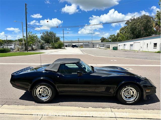 1981 Chevrolet Corvette (CC-1881729) for sale in Clearwater, Florida