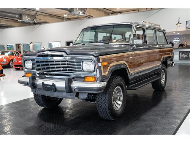 1981 Jeep Wagoneer (CC-1881735) for sale in Ocala, Florida