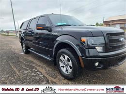 2014 Ford F150 (CC-1882061) for sale in Webster, South Dakota