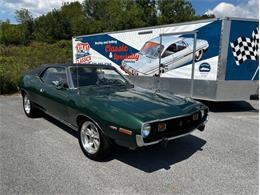 1973 AMC Javelin (CC-1882067) for sale in Orwigsburg, Pennsylvania