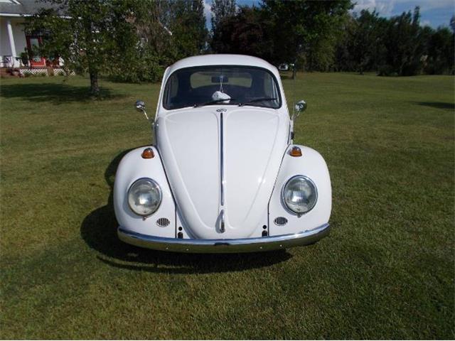 1966 Volkswagen Beetle (CC-1882330) for sale in Cadillac, Michigan