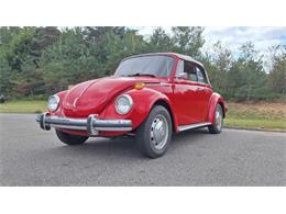 1974 Volkswagen Super Beetle (CC-1882334) for sale in Cadillac, Michigan