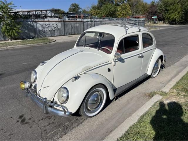 1963 Volkswagen Beetle (CC-1882358) for sale in Cadillac, Michigan