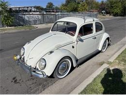 1963 Volkswagen Beetle (CC-1882358) for sale in Cadillac, Michigan