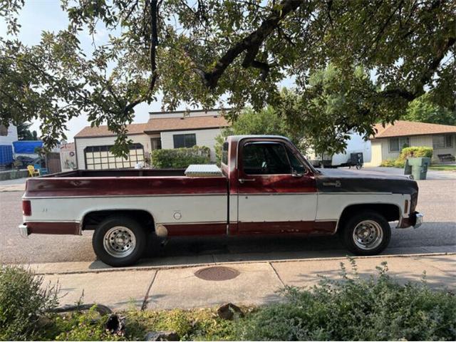 1978 Chevrolet C10 (CC-1882405) for sale in Cadillac, Michigan