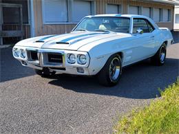 1969 Pontiac Firebird Trans Am (CC-1882518) for sale in Hilton, New York