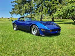 1981 Chevrolet Corvette (CC-1882780) for sale in martinsburg, Pennsylvania