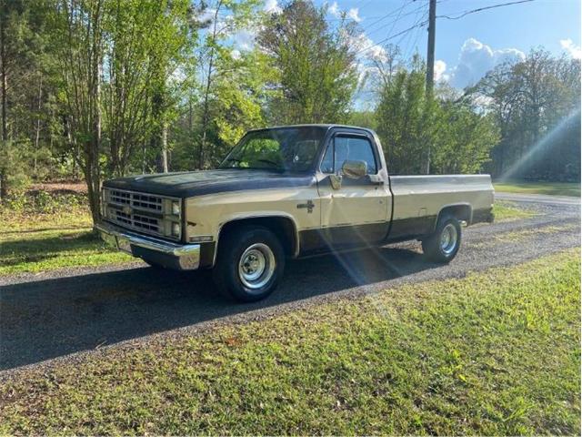 1986 Chevrolet C10 (CC-1882812) for sale in Cadillac, Michigan