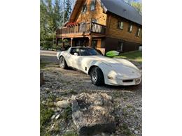 1990 Chevrolet Corvette (CC-1882850) for sale in Cadillac, Michigan