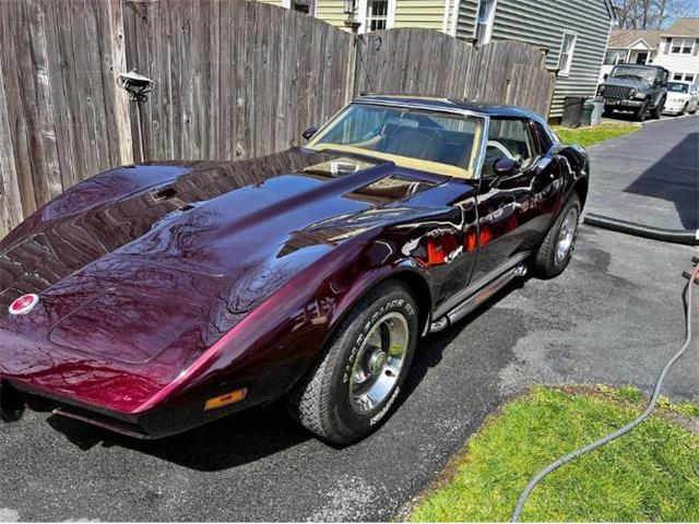 1974 Chevrolet Corvette (CC-1882868) for sale in Cadillac, Michigan