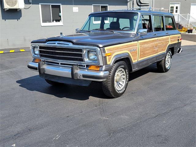 1990 Jeep Grand Wagoneer (CC-1882889) for sale in Hilton, New York