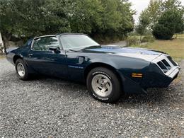 1979 Pontiac Firebird Trans Am (CC-1882962) for sale in Lewes, Delaware