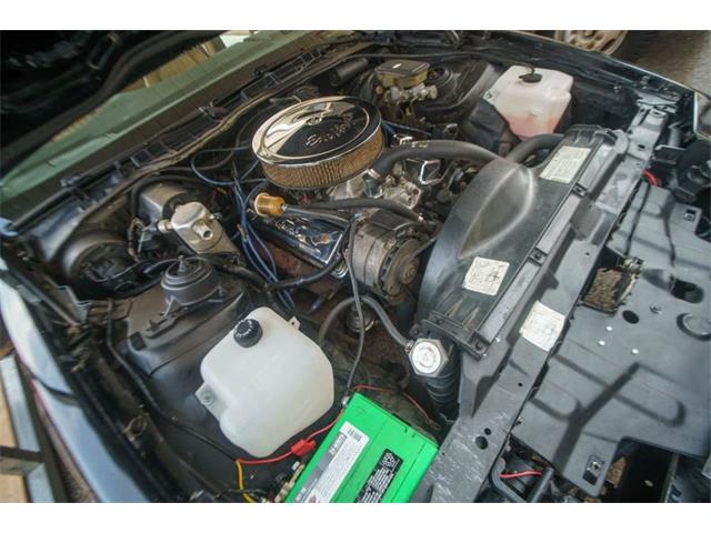 1983 Pontiac Firebird (CC-1883099) for sale in St. Louis, Missouri