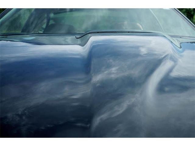 1983 Pontiac Firebird (CC-1883099) for sale in St. Louis, Missouri