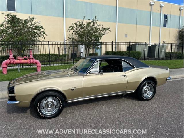 1967 Chevrolet Camaro (CC-1883132) for sale in Clearwater, Florida