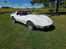 1978 Chevrolet Corvette (CC-1883300) for sale in martinsburg, Pennsylvania