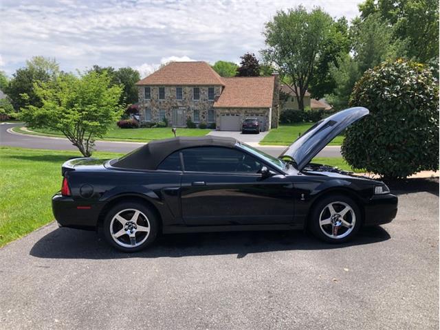 2003 Ford Mustang SVT Cobra (CC-1883640) for sale in Carlisle, Pennsylvania