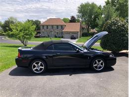 2003 Ford Mustang SVT Cobra (CC-1883640) for sale in Carlisle, Pennsylvania