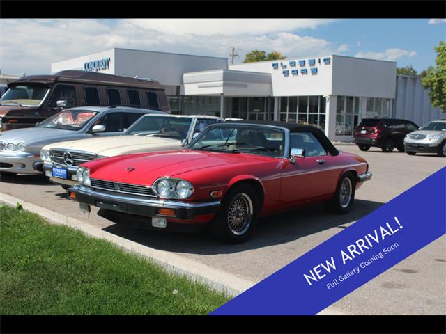 1989 Jaguar XJS (CC-1883690) for sale in Greeley, Colorado