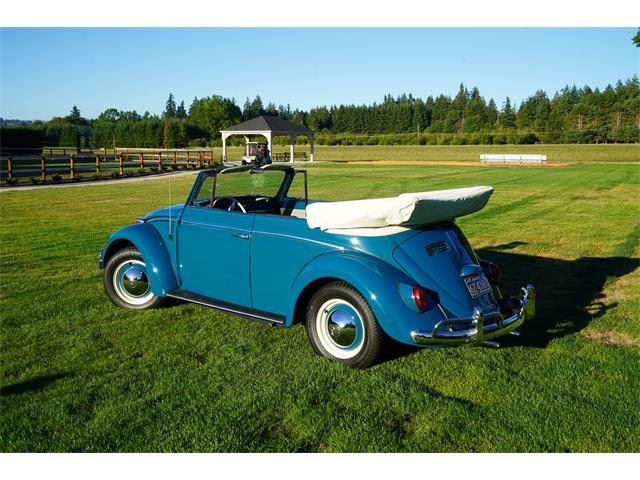 1964 Volkswagen Convertible (CC-1883873) for sale in Wilsonville, Oregon