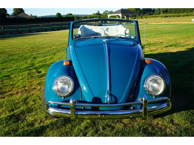 1964 Volkswagen Convertible (CC-1883873) for sale in Wilsonville, Oregon