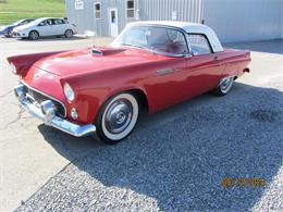 1955 Ford Thunderbird (CC-1884207) for sale in Racine, Ohio