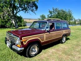 1987 Jeep Grand Wagoneer (CC-1880448) for sale in Hobart, Indiana