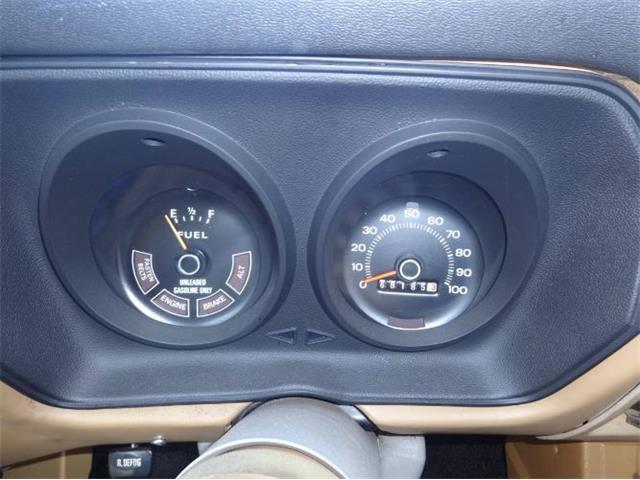 1976 Ford Pinto (CC-1884831) for sale in Cadillac, Michigan